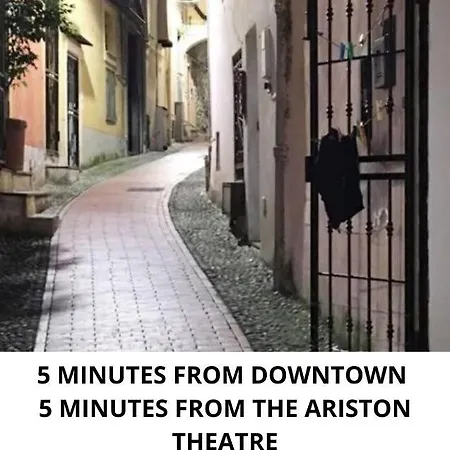 Loft In The Center For 3 People Apartment *