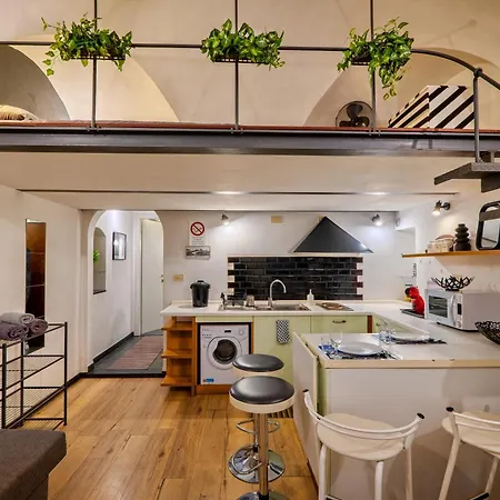 Loft In The Center For 3 People 公寓 *